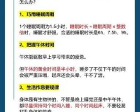 提升效率秘诀：规划+专注+休息