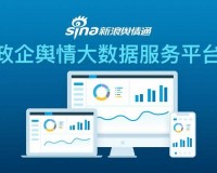 免费舆情网站 app：实时洞察网络热点