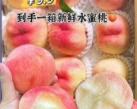 水蜜桃一卡 2 卡 3 卡 4 卡 mac923：鲜嫩多汁的甜美享受