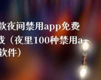 夜里禁用 APP 软件大全之使用说明