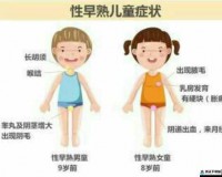 男生发育真人对照 PPT：成长的奥秘