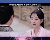 王妃回门-然后被自己父亲欺负之真相