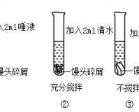 高干文中喂不饱的饿狼角色分析之探究