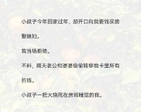 小叔子：今年来我家过年吧