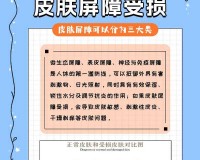 无人一区二区区别是什么还是没有修复：修复工作仍在进行中