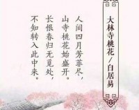 含苞欲放 读读：静候花开时