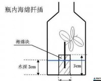 欧式 45 种扦插方式高清图片展示