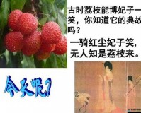 无人一区二区区别是什么红桃：探究其含义与特点