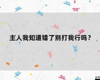 主人错了别打我了：我会改正的