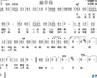 歌词相关：草莓丝瓜深夜释放自己，独自享受这美妙时刻