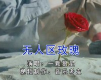 无人区玫瑰 MV：一颗狼星的惊人巧合