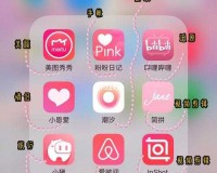 黄金网站软件 APP 粉色：极致体验等你来