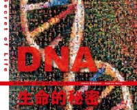 孩子 DNA 查母亲还是父亲：背后的秘密