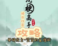 玩梗高手无敌的铠甲怎么过：详细攻略