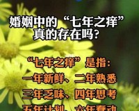 七年止痒(上位) ：无三观结局 34 后的情感纠葛