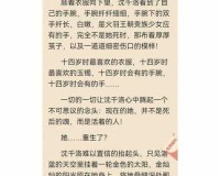 发了狠的往里撞古言解析之深度剖析