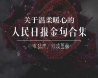 低头看我们结交处：那一抹温情