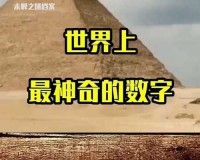 成品网站源码1288隐藏通道：神秘的数字世界