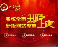 成品网站入口网页版即将上线：平台全新启航