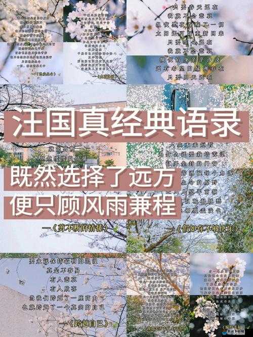 愿你的未来永远热泪盈眶是哪首歌