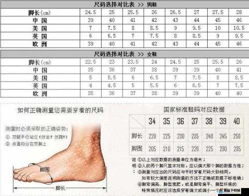 国产尺码和欧洲尺码对比有什么区别之深度解析