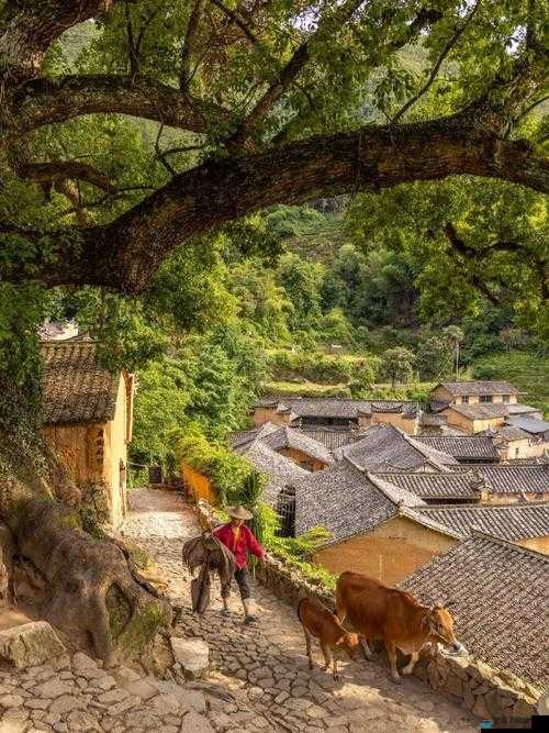 ：王氏寺庙快活几天：一场逃离喧嚣的心灵之旅