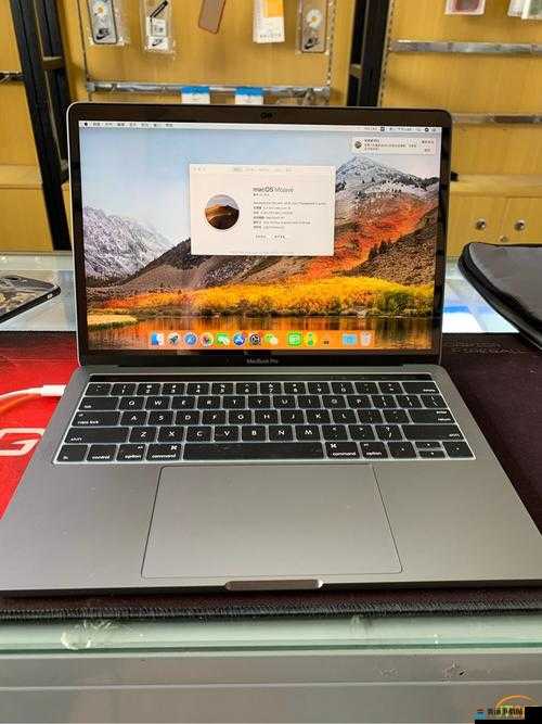 十九岁 macbookpro 高清版：全新体验来袭