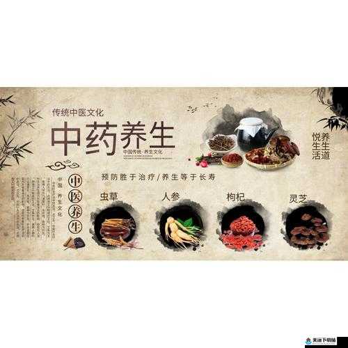 国精产品 W灬源码 1688 养生：传统与现代的完美结合