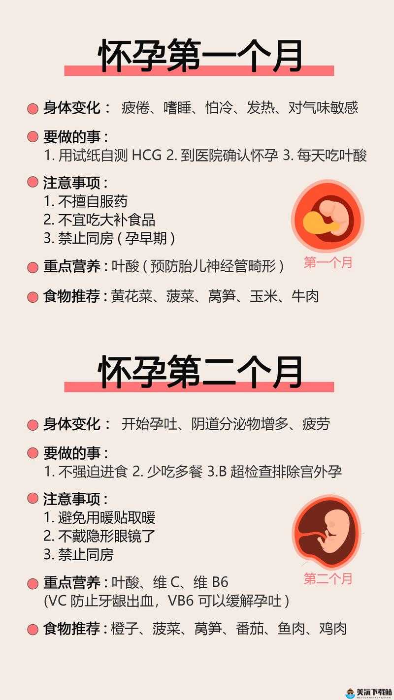 如何让母亲怀孕：科学方法与注意事项