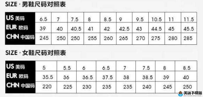 精品欧洲一码二码区别在哪：探索不同之处