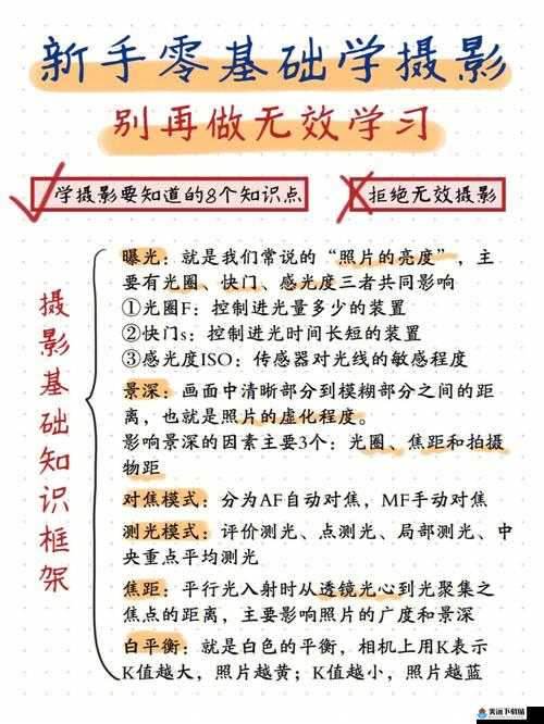 导演的摄影课 HL：基础与技巧