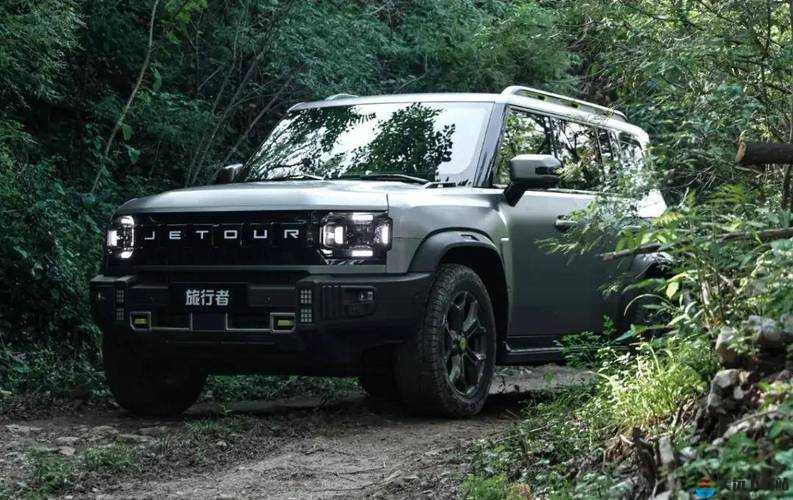 国产大空间又便宜 SUV 推荐