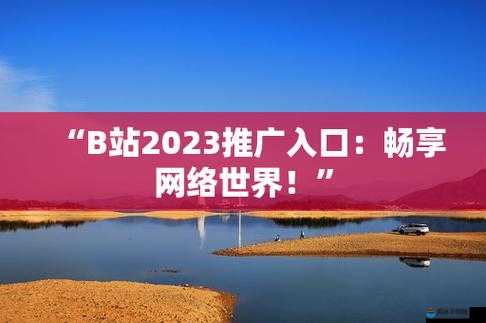 b 站推广入口 2023：畅享精彩内容