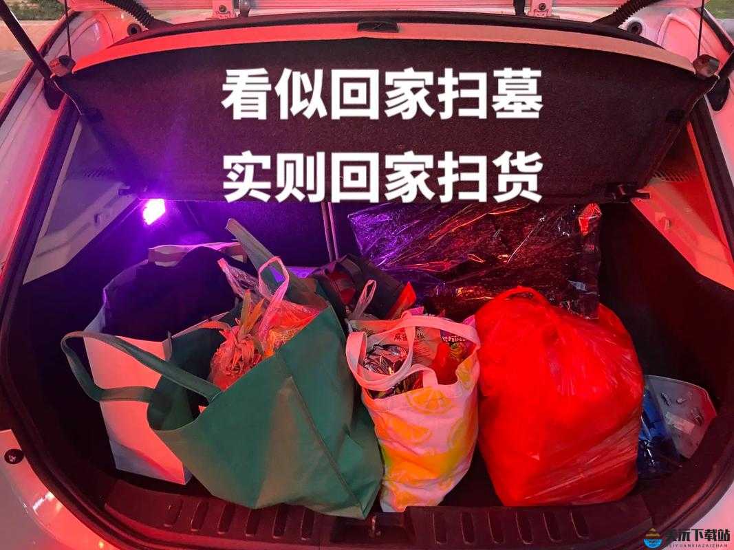 小扫货能么多叫出来：开启超值购物之旅