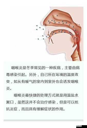 与男友口后嗓子发炎：卫生与健康的困扰