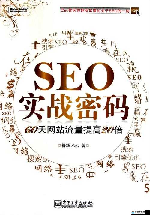 seo 短视频网页入口引流：抓住流量密码