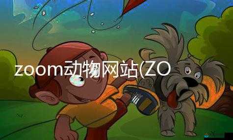 ZOOM 动物合集 VERDEOS：精彩呈现