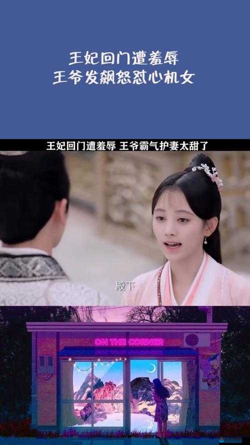 王妃回门-然后被自己父亲欺负之真相