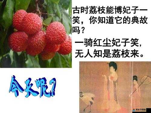 无人一区二区区别是什么红桃：探究其含义与特点