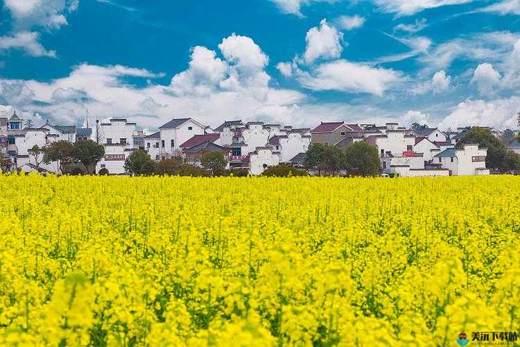 儿妈妈一亩田地：那片希望的田野