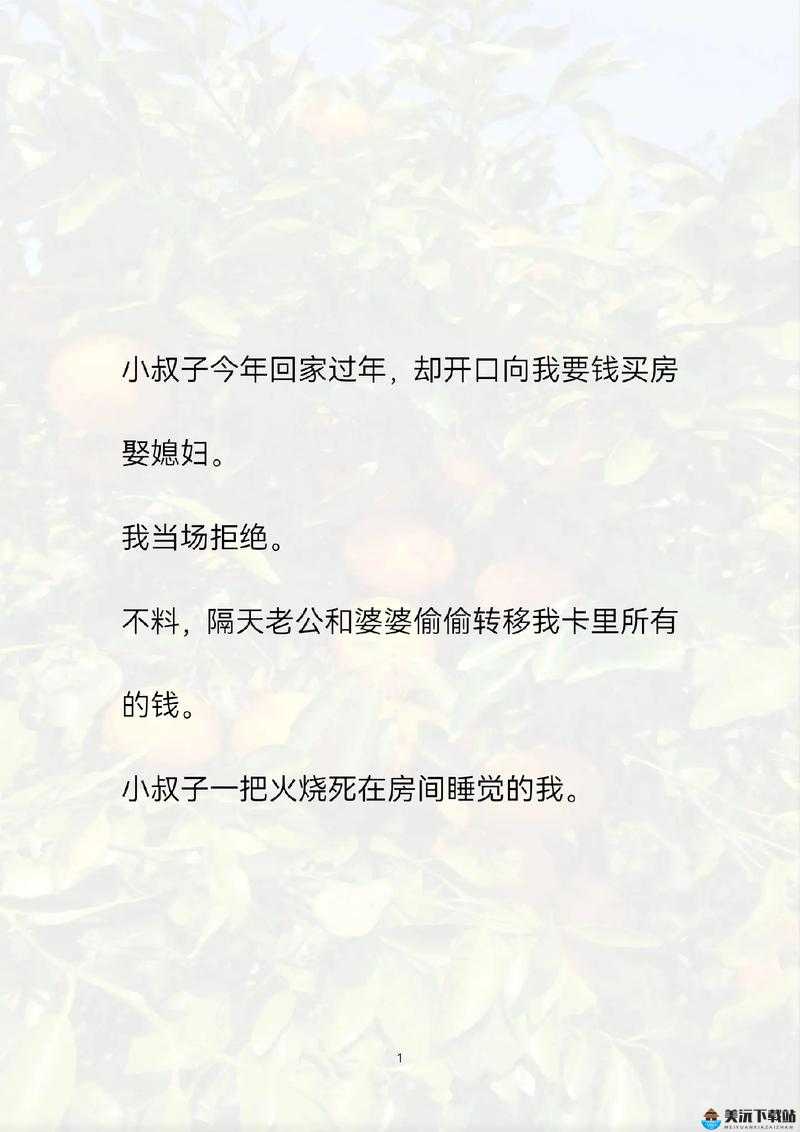 小叔子：今年来我家过年吧