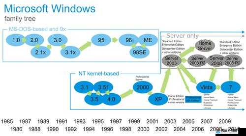 日本 Windows Server 相关技术探讨