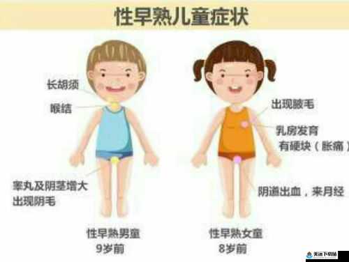 男生发育真人对照 PPT：成长的奥秘