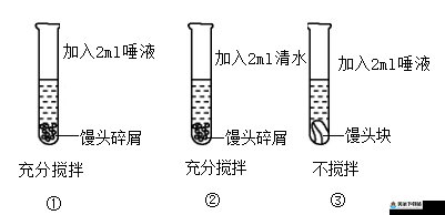 高干文中喂不饱的饿狼角色分析之探究