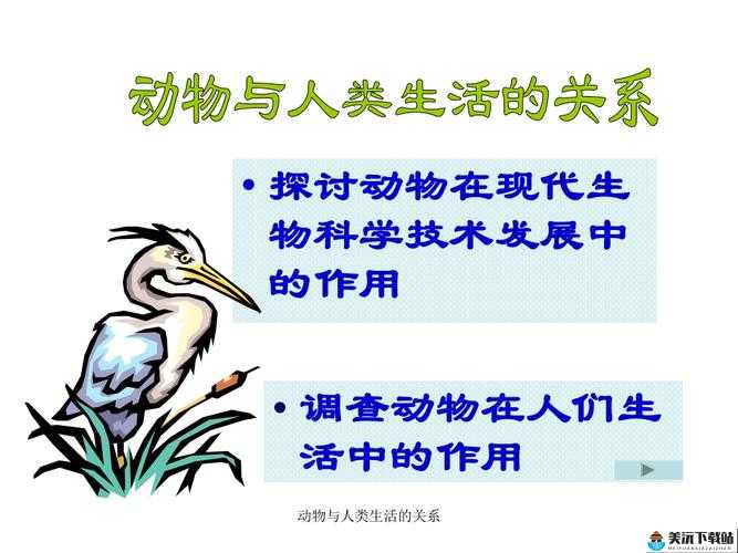 人与动物 PPT 免费模板大全：优质资源精选